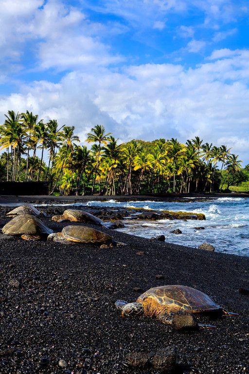 افضل الاماكن السياحية في هاواي