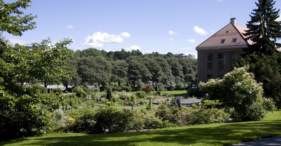 اماكن سياحية في اوسلو - Botanical Gardens