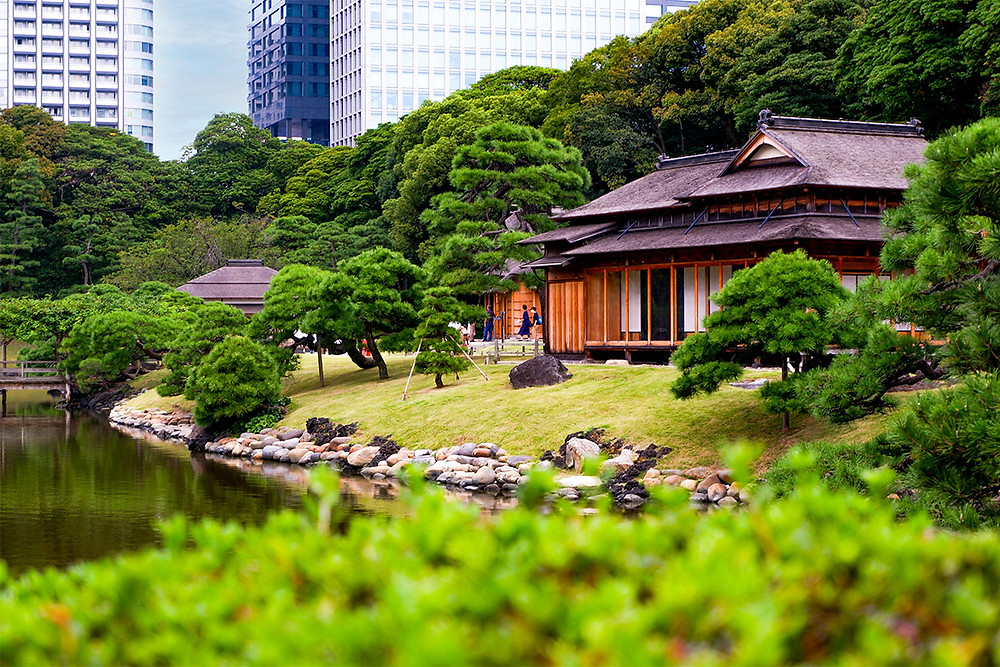 اماكن سياحية في طوكيو - حدائق هاماريكيو