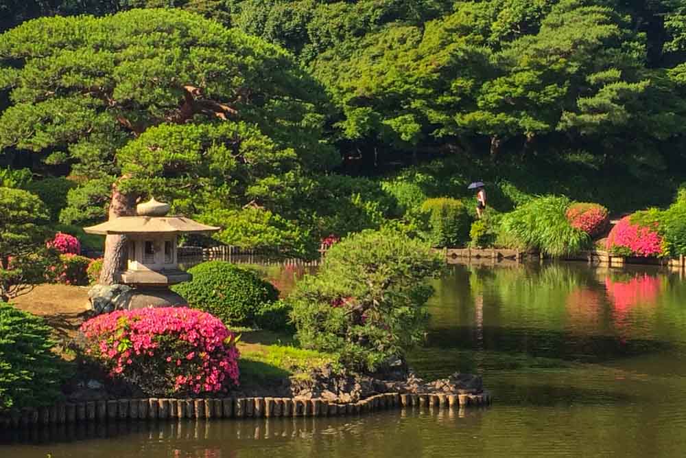 حديقة شينجوكو غيون - من أجمل اماكن سياحية في طوكيو
