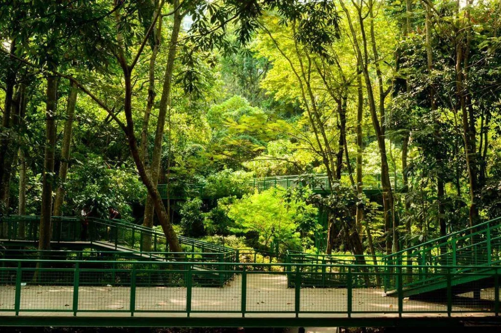 الأماكن السياحية القريبة من حديقة حيوانات باندونق