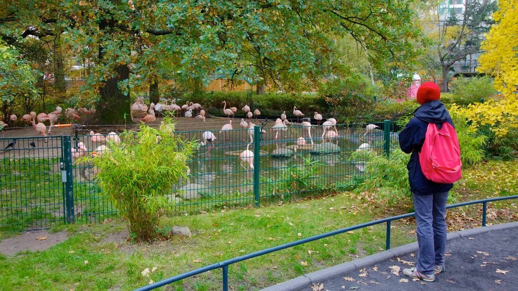 Berlin Zoo
