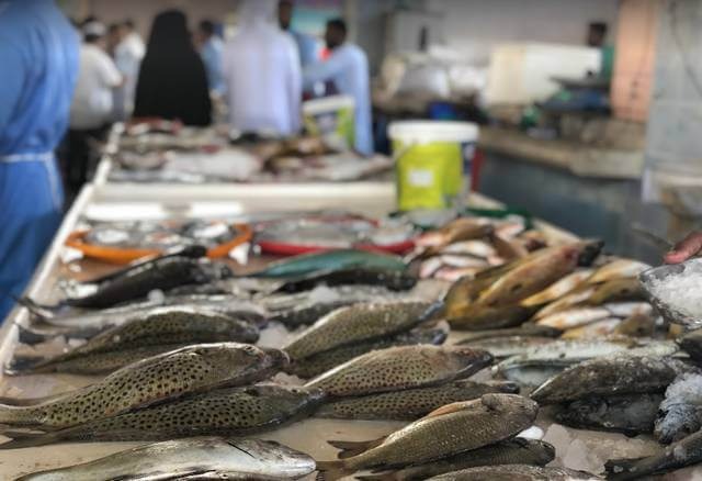 سوق السمك الفجيرة