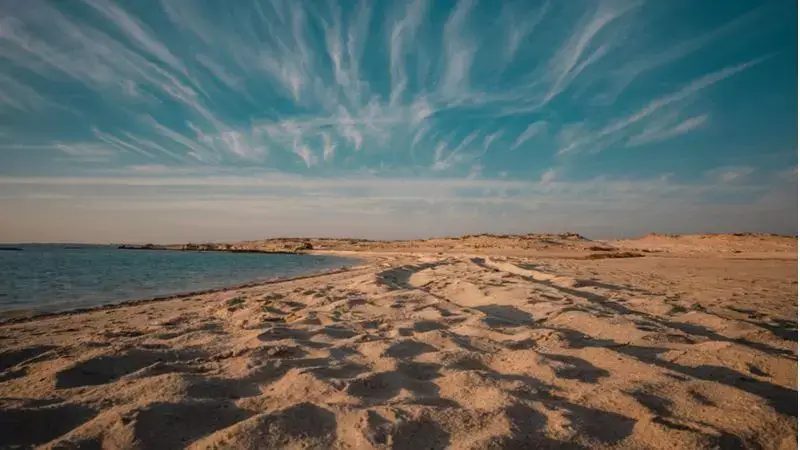 شواطئ قطر