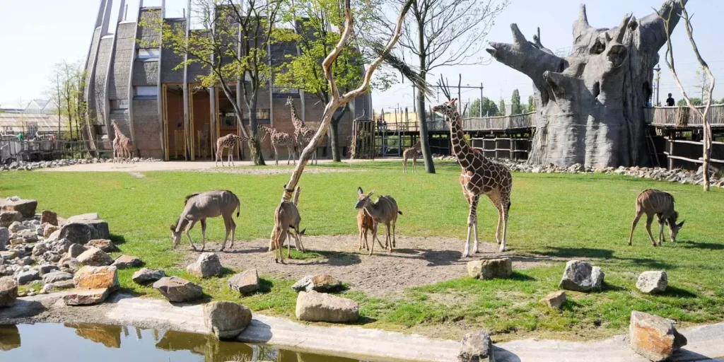 حديقة حيوانات روتردام